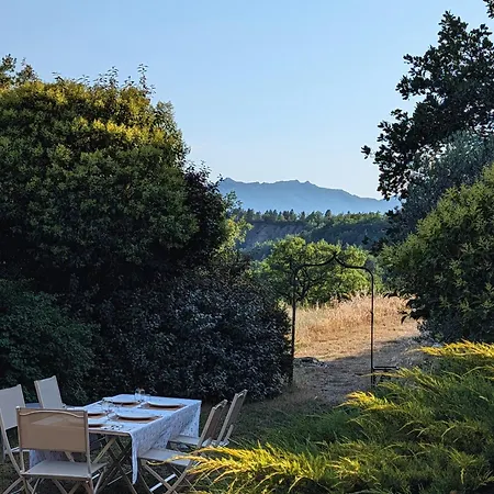 Campagne Vallauris